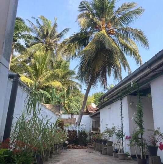 The Ocean Villa At Surf Spot 马特勒 外观 照片